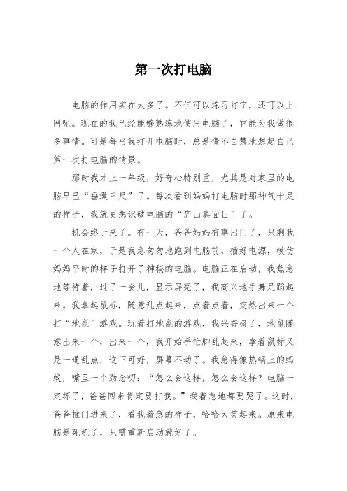 小学五年级作文：第一次打电脑