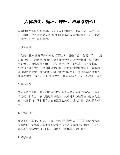 人体消化、循环、呼吸、泌尿系统-V1
