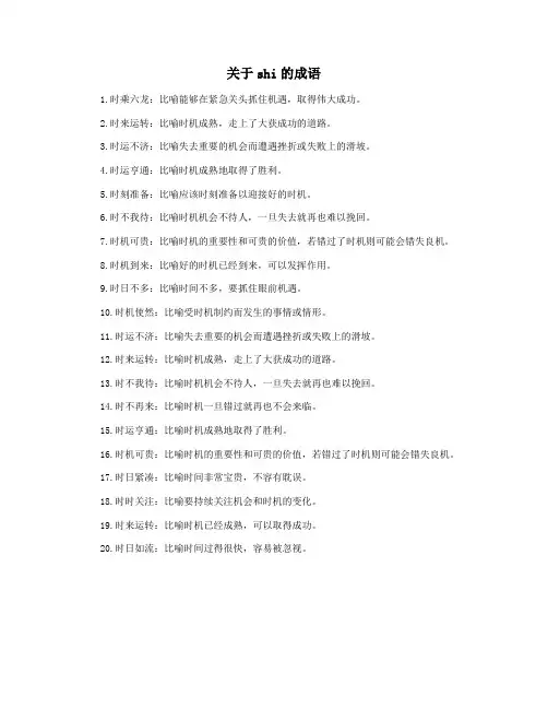 关于shi的成语