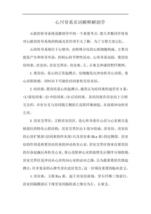 心川导系名词解释解剖学