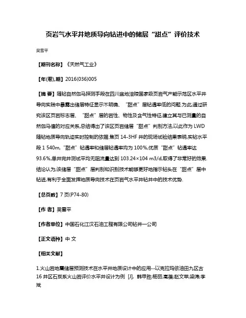 页岩气水平井地质导向钻进中的储层“甜点”评价技术