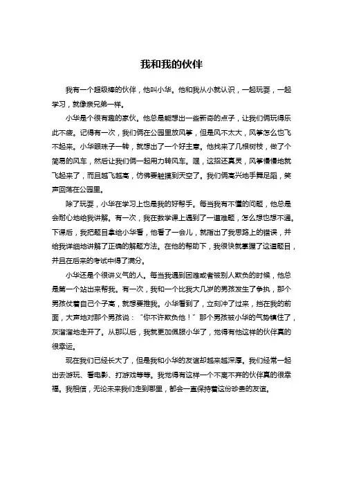 我和我的伙伴