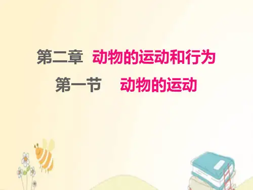 八年级生物上册第五单元生物圈中的其他生物第二章动物的运动和行为第1节动物的运动课件 人教版