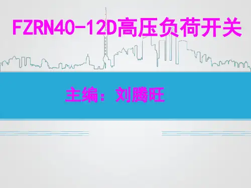 FZRN40-12D真空负荷开关,FZN40-12-630-25,FZRN40-12-125-31.5