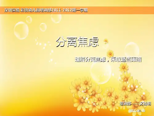 分离焦虑(新)PPT课件