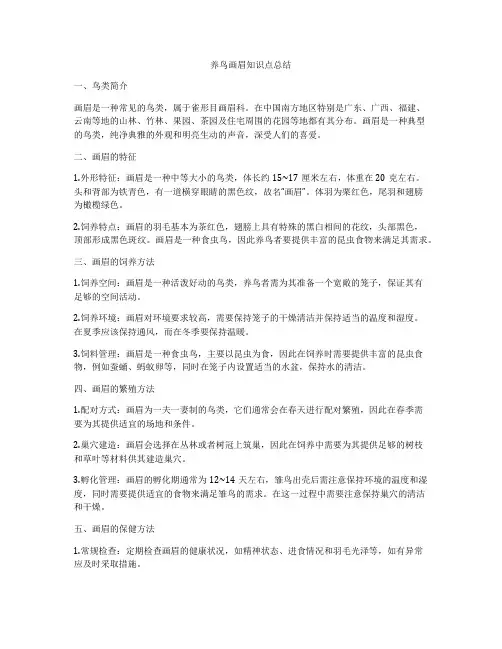 养鸟画眉知识点总结