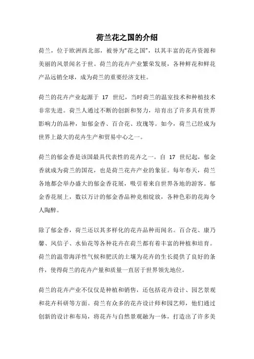 荷兰花之国的介绍