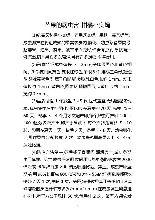 芒果的病虫害柑橘小实蝇