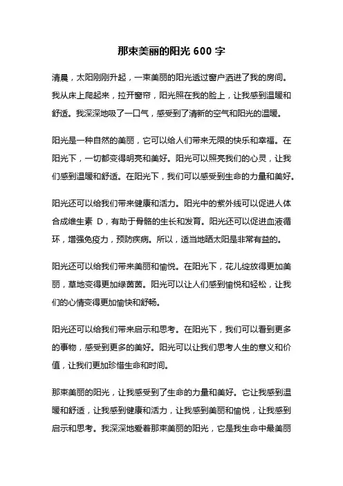 那束美丽的阳光600字