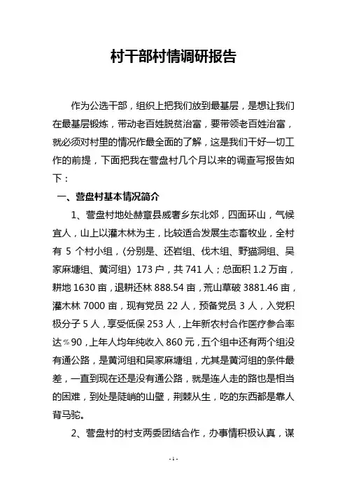 村情调研报告