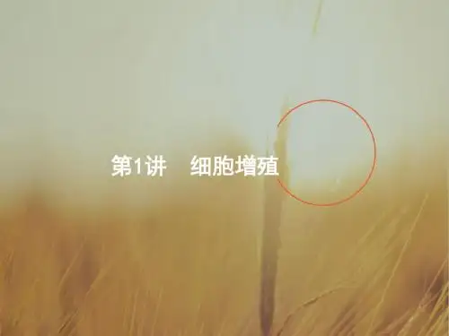 2018届高考生物一轮课件：4-1细胞增殖 精品