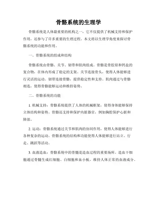 骨骼系统的生理学