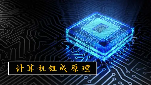 《计算机组成原理》数据信息的表示