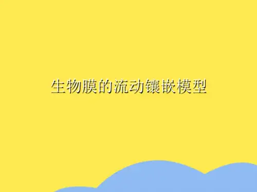 高一生物生物膜的流动镶嵌模型优选PPT文档