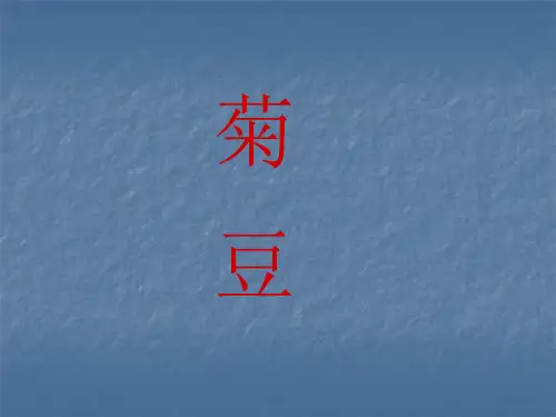 影片分析：《菊豆》拉片
