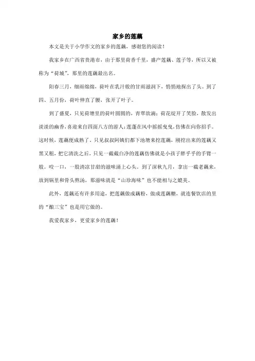 家乡的莲藕_小学作文
