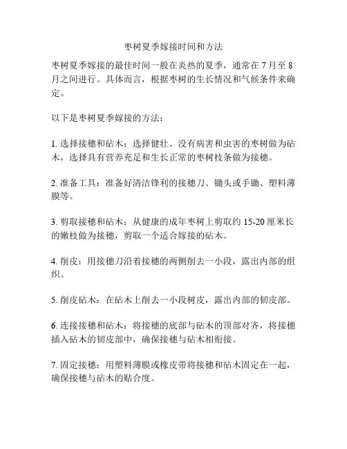 枣树夏季嫁接时间和方法