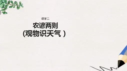 二年级语文下册识字二农谚两则观物识天气课件西师大版