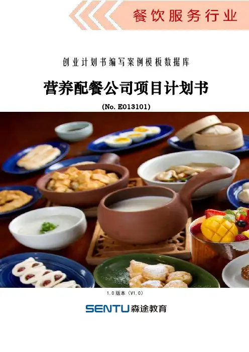 营养配餐公司项目计划书