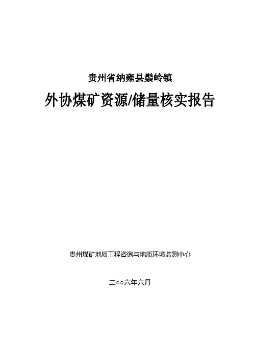 ××××煤矿储量核实报告(最终)