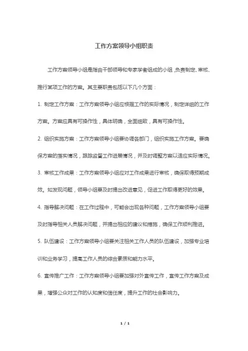 工作方案领导小组职责