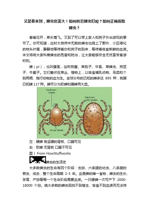 又是春来到，蜱虫危害大！如何防范蜱虫叮咬？如何正确拔除蜱虫？