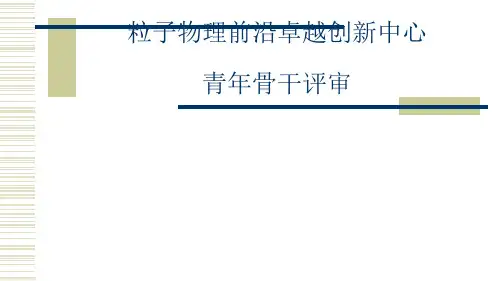 粒子物理前沿卓越创新中心青年骨干评审.pptx
