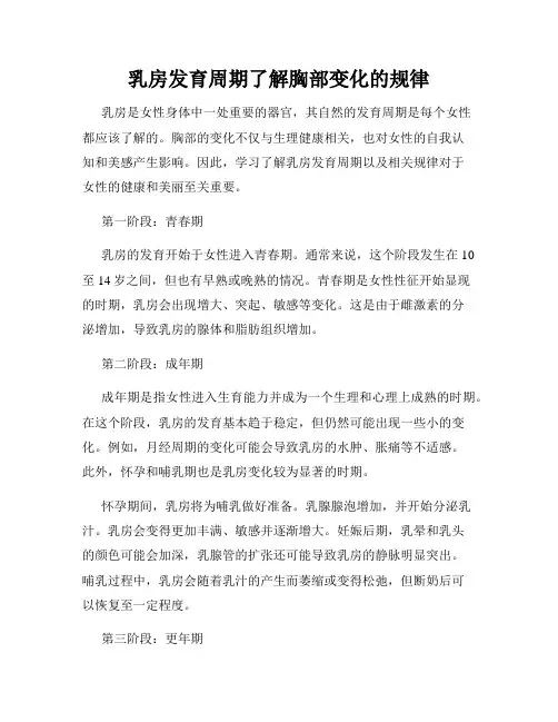 乳房发育周期了解胸部变化的规律