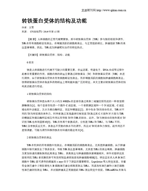 转铁蛋白受体的结构及功能