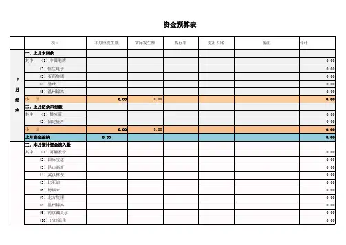 资金预算表模板
