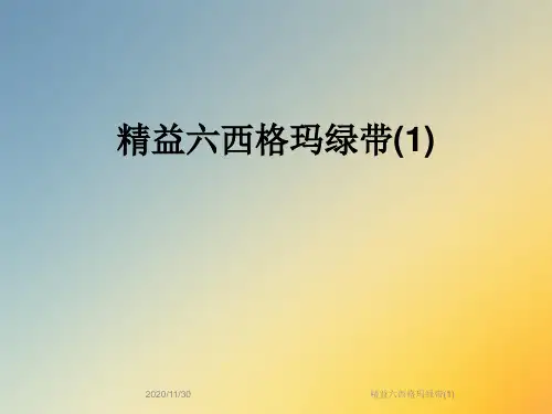 精益六西格玛绿带(1)