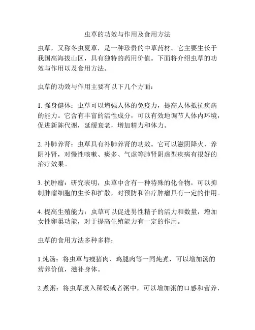 虫草的功效与作用及食用方法