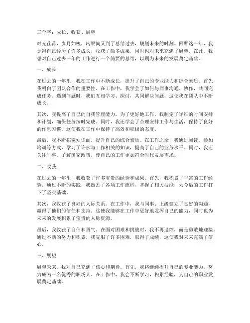 个人工作总结三个字