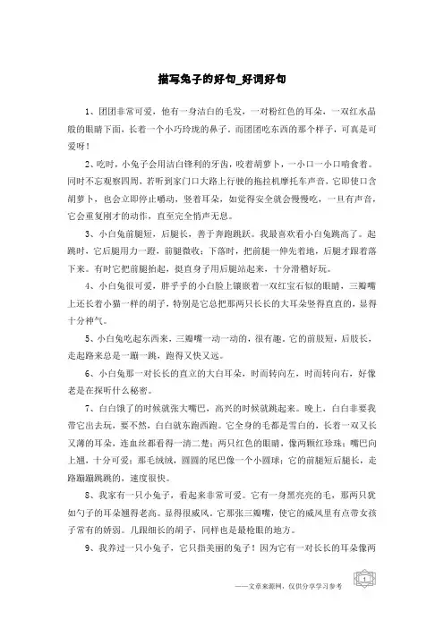 描写兔子的好句-好词好句