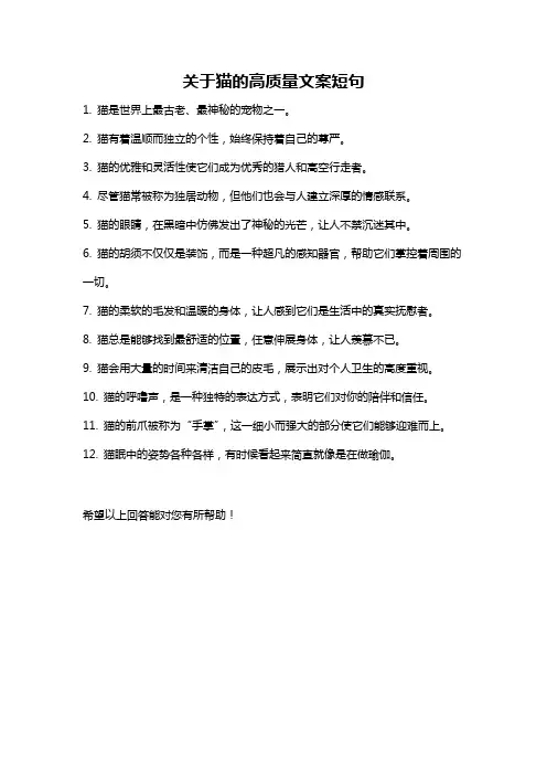关于猫的高质量文案短句