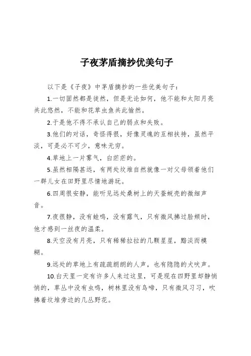子夜茅盾摘抄优美句子