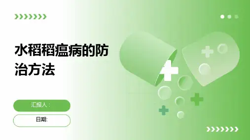 水稻稻瘟病的防治方法