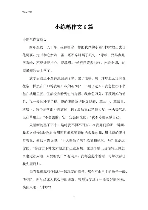 小练笔作文6篇