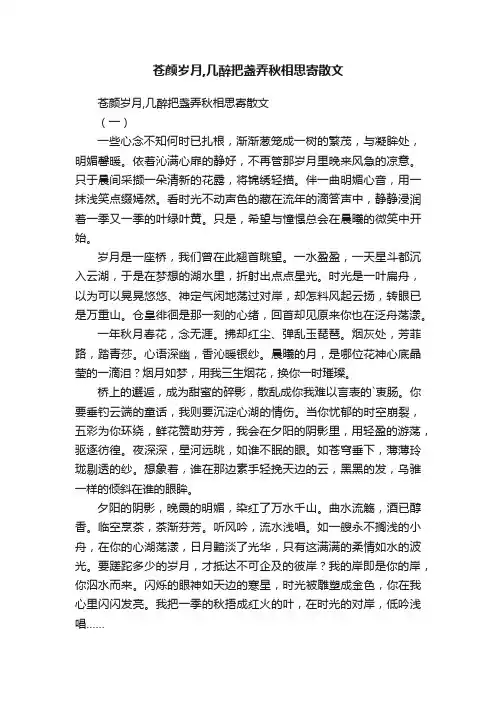 苍颜岁月,几醉把盏弄秋相思寄散文