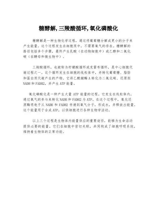 糖酵解,三羧酸循环,氧化磷酸化
