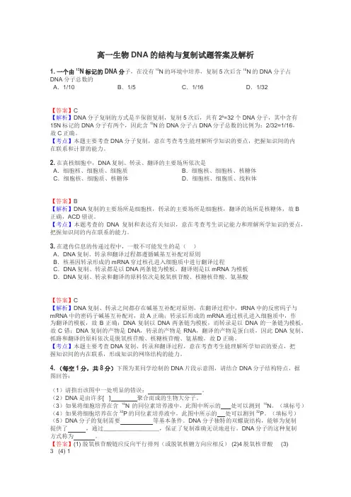 高一生物DNA的结构与复制试题答案及解析
