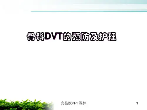 骨科深静脉血栓的预防及护理ppt课件