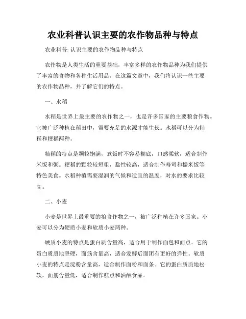 农业科普认识主要的农作物品种与特点