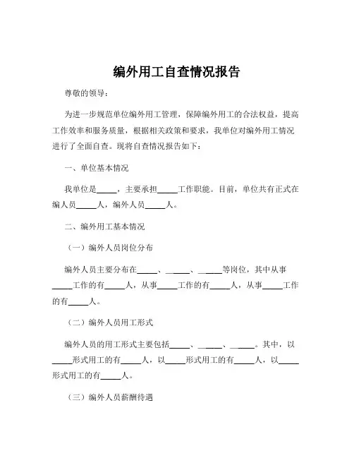 编外用工自查情况报告