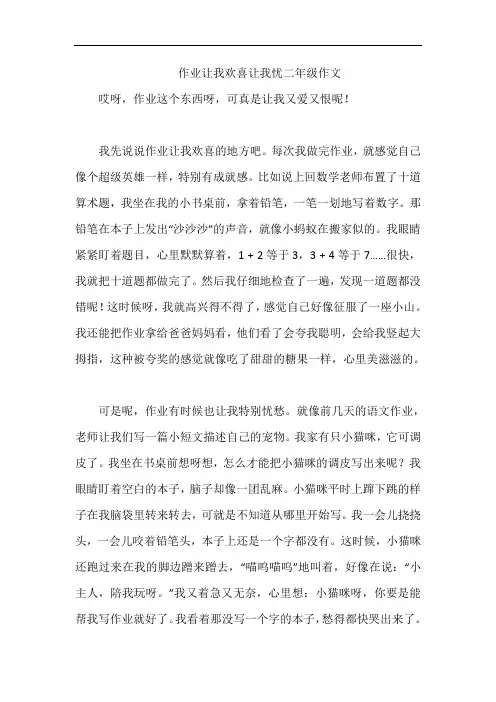 作业让我欢喜让我忧二年级作文
