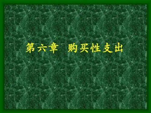 财政学讲义06-购买性支出