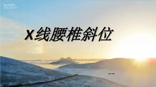 腰椎斜位课件