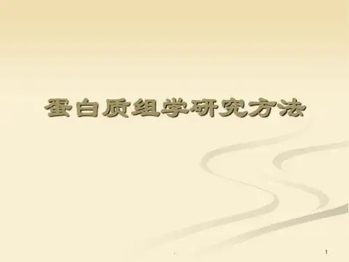 蛋白质组学研究方法