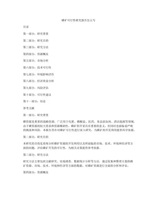 磷矿可行性研究报告怎么写