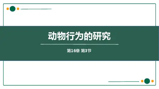 北师大版八年级生物上册《动物行为的研究》PPT优质课件